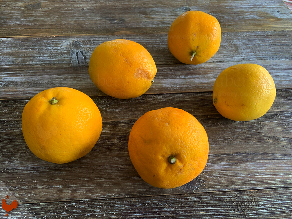 Nicolas Agraz’s Meyer Lemon Tart