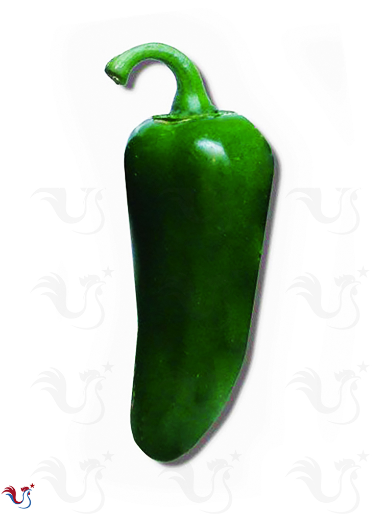 Les Piments du Mexique et d’Amérique du Sud (los chiles)