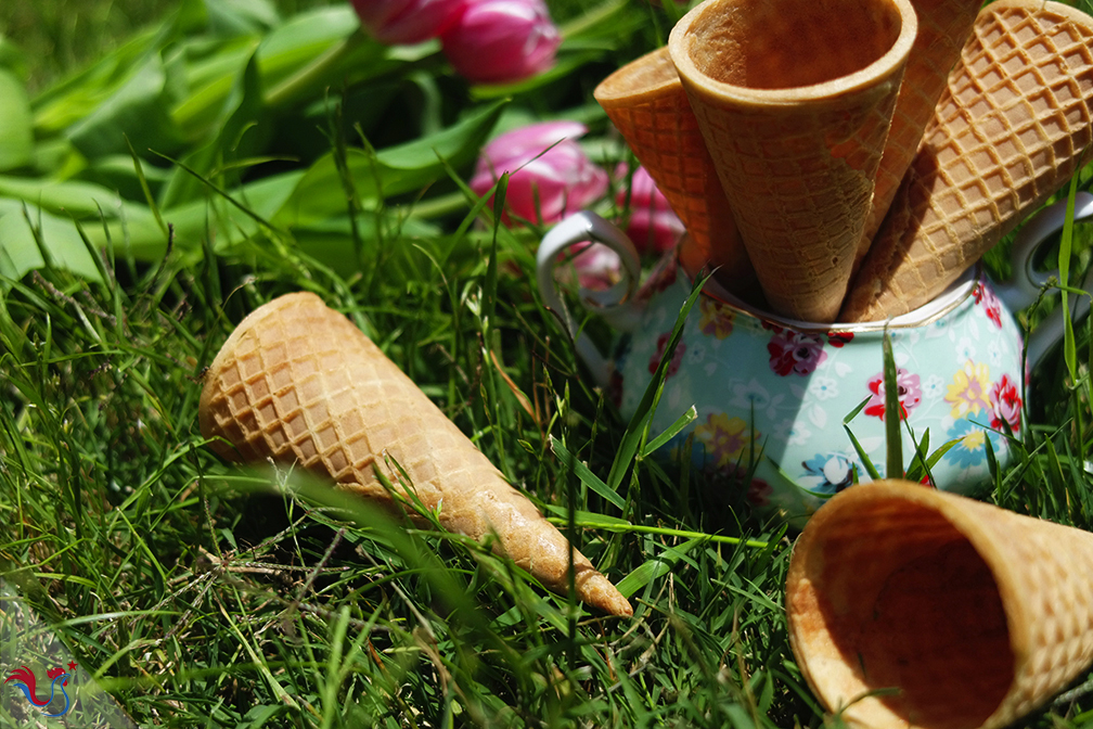 Les Cornets à Glace de M.O.F Stéphane Tréand